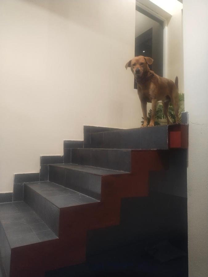 Two Bedroom House Madikeri Luaran gambar